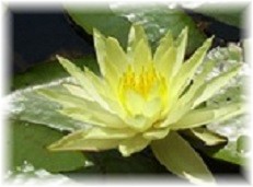 There is no cruelty in&nbsp;God