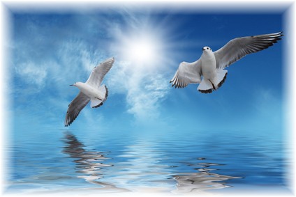 Vital Message of&nbsp;Forgiveness