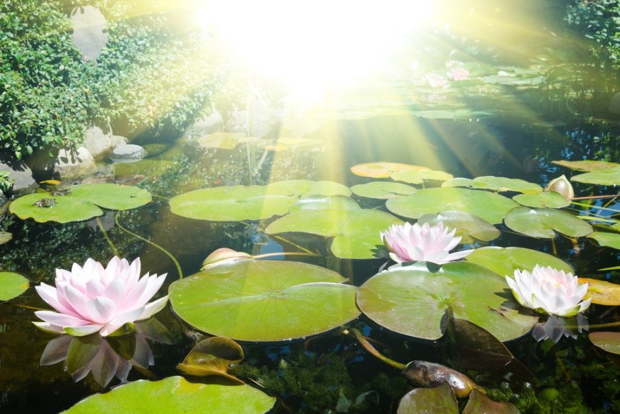 There is No&nbsp;Judgment